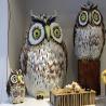 images/sampledata/IMG_2266gallery108.jpg